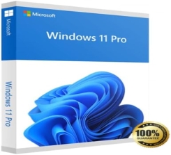Window 11 Pro